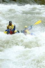 Raft 06